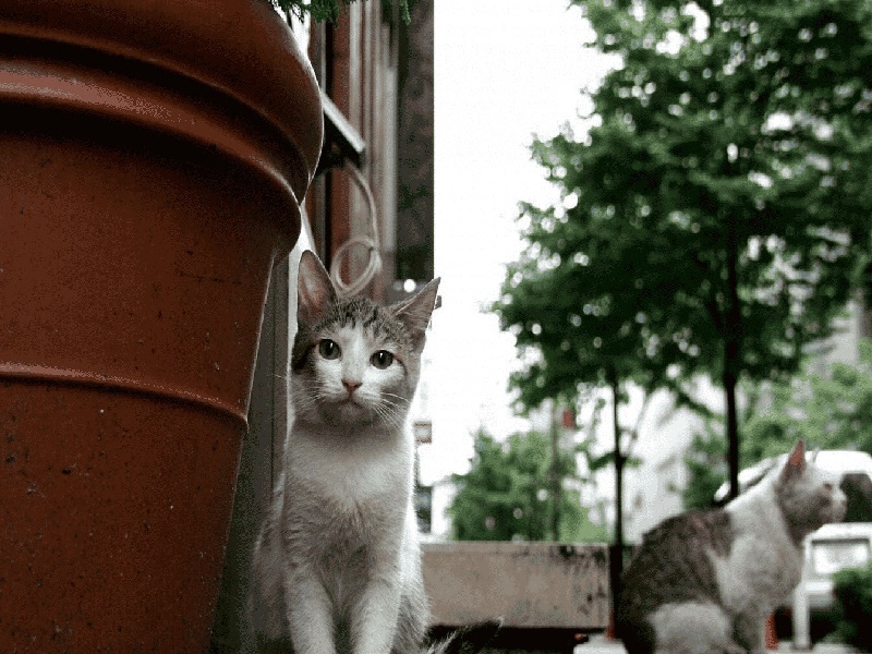 拉萨试管婴儿安琪儿费用（盛姐做试管）