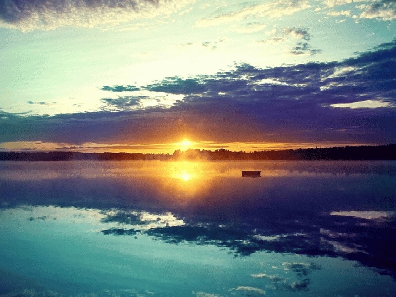 保定可以做试管（供卵试管视频）——