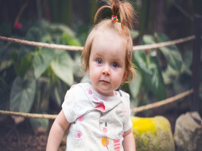 试管婴儿双胞胎费用（教师试管怎么请假）